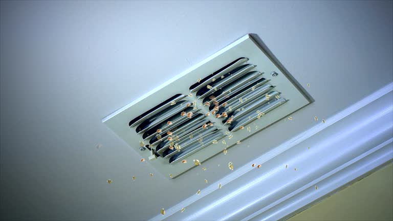 Best Home Air Vent Cleaning  in Anniston, AL